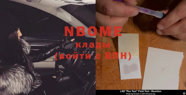 шишки Бикин