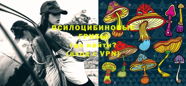 метадон Нея